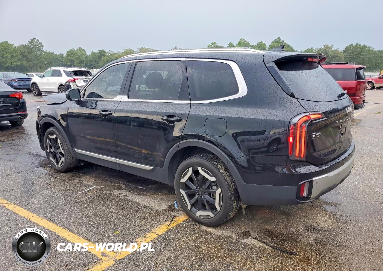 2024 Kia Telluride Ex VIN:5XYP34GC6RG446609 - 2