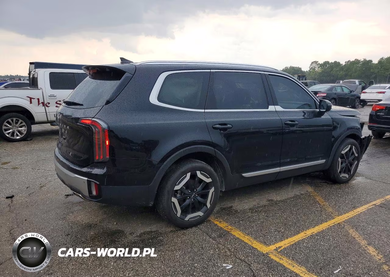 2024 Kia Telluride Ex VIN:5XYP34GC6RG446609 - 3