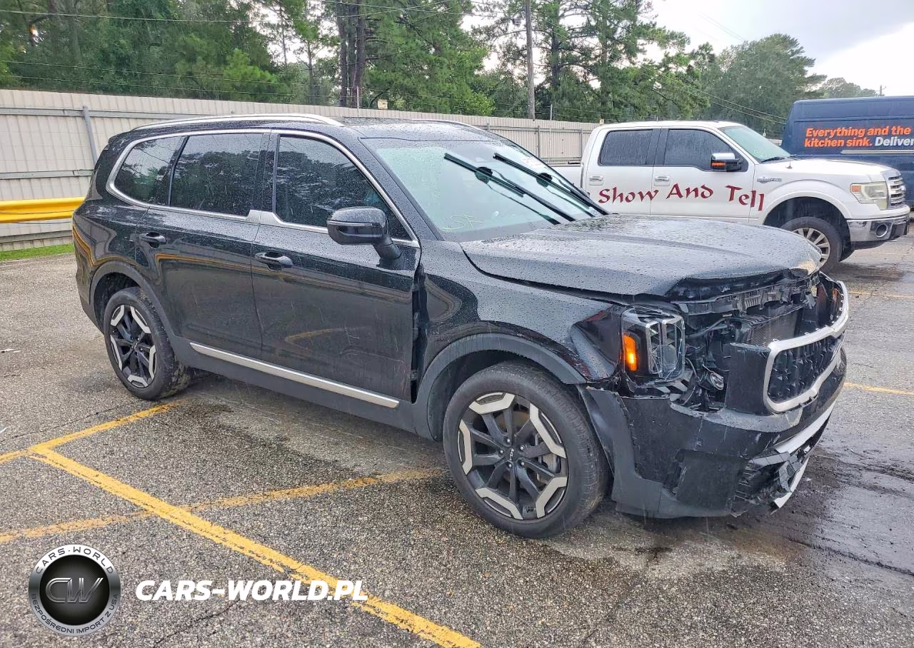 2024 Kia Telluride Ex VIN:5XYP34GC6RG446609 - 4