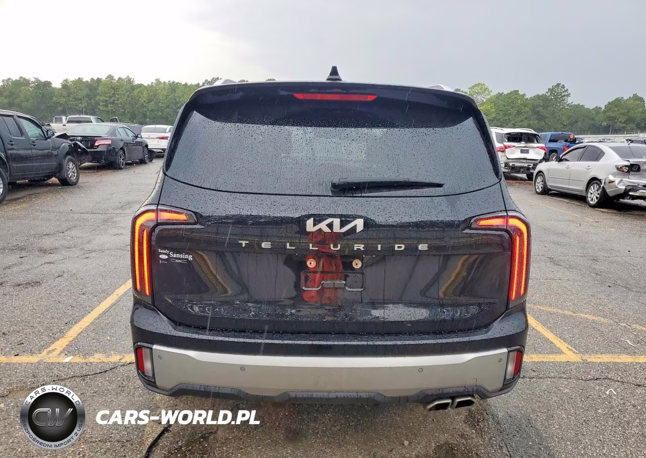 2024 Kia Telluride Ex VIN:5XYP34GC6RG446609 - 6