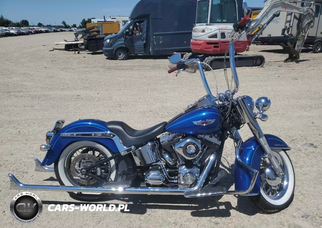 2010 Harley-Davidson Flstn