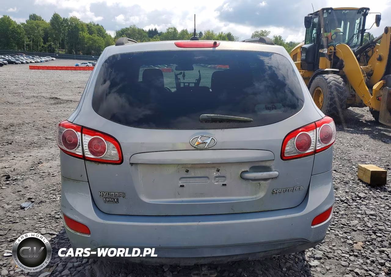 2010 Hyundai Santa Fe Gls VIN:5NMSG3AB5AH385983 - 6