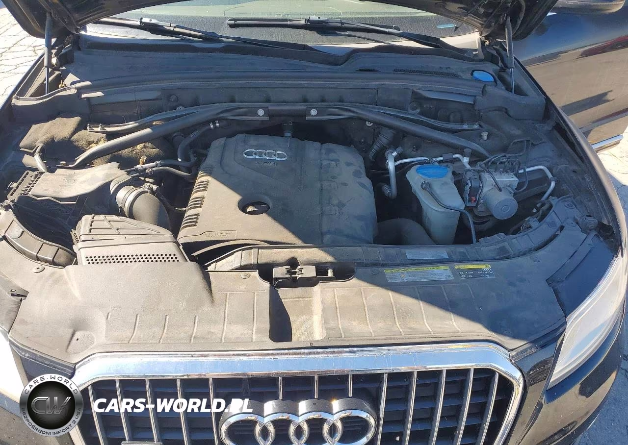 2014 Audi Q5 Premium Plus VIN:WA1LFAFPXEA101144 - 12
