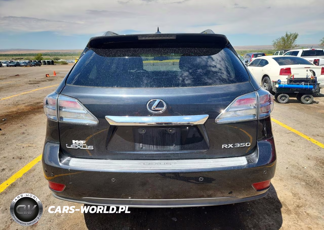 2010 Lexus Rx 350 VIN:2T2BK1BA5AC032959 - 6