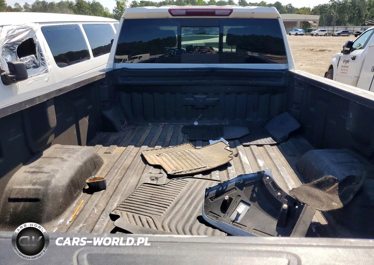 2023 Chevrolet Silverado K3500 Lt VIN:1GC4YTEYXPF254557 - 10