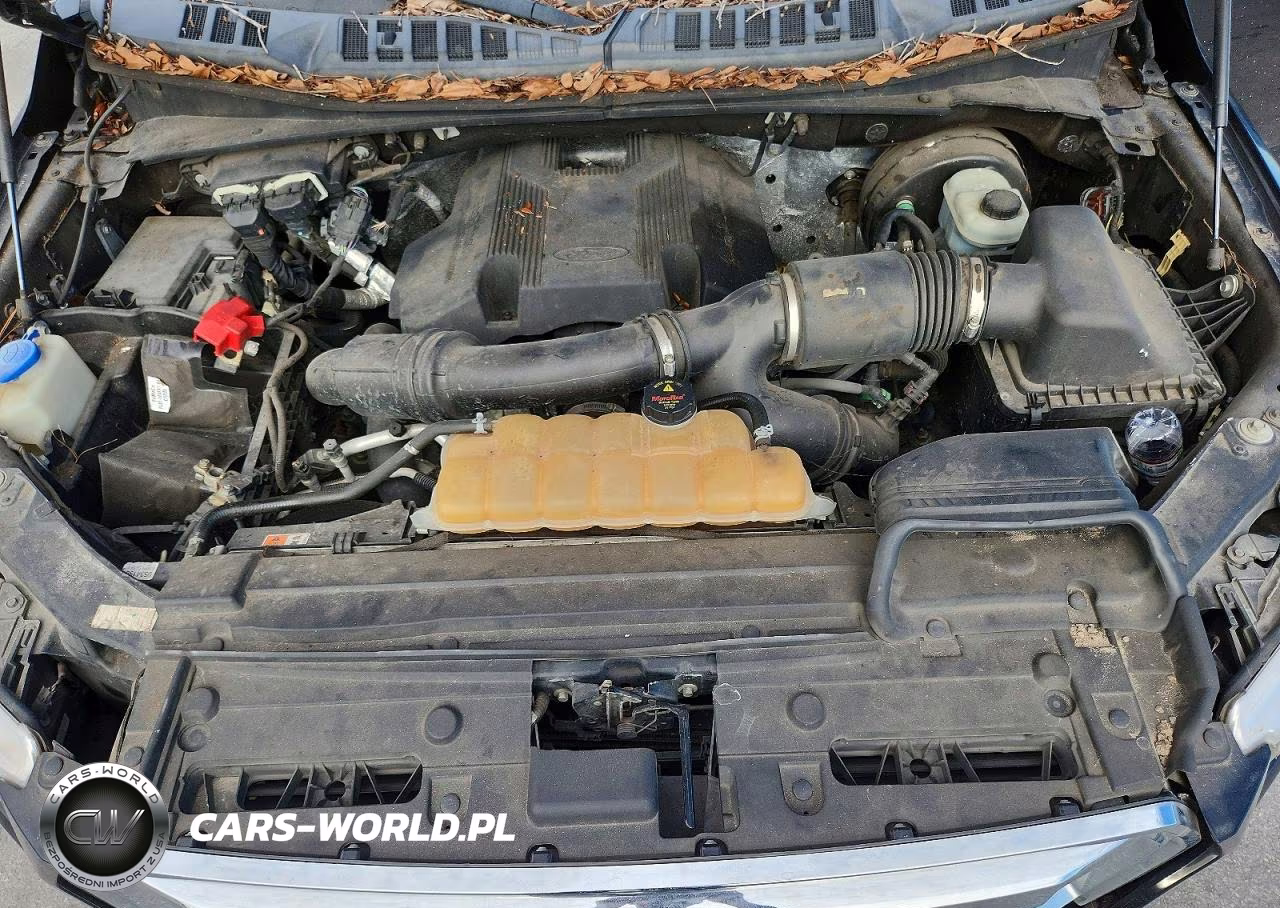 2017 Ford F150 Supercrew VIN:1FTEW1CG4HKD00594 - 11