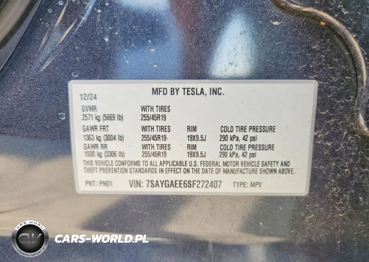 2025 Tesla Model Y VIN:7SAYGAEE6SF272407 - 12