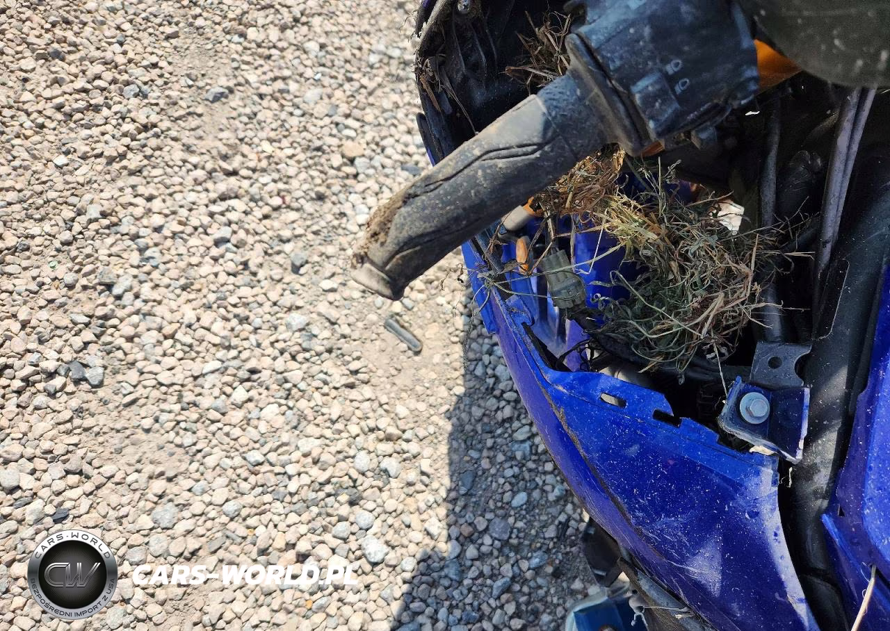 2019 Yamaha Yzfr3 VIN:MH3RH17Y7KK001897 - 7