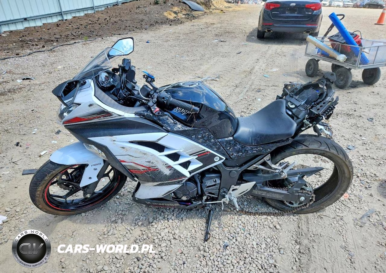 2014 Kawasaki Ex300 B VIN:JKAEX8B16EA004488 - 3