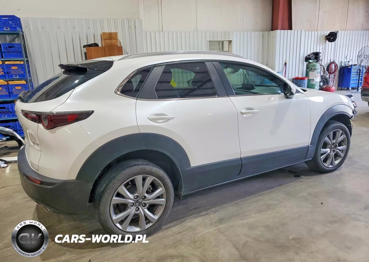 2022 Mazda Cx-30 Select VIN:3MVDMBBL1NM450719 - 3