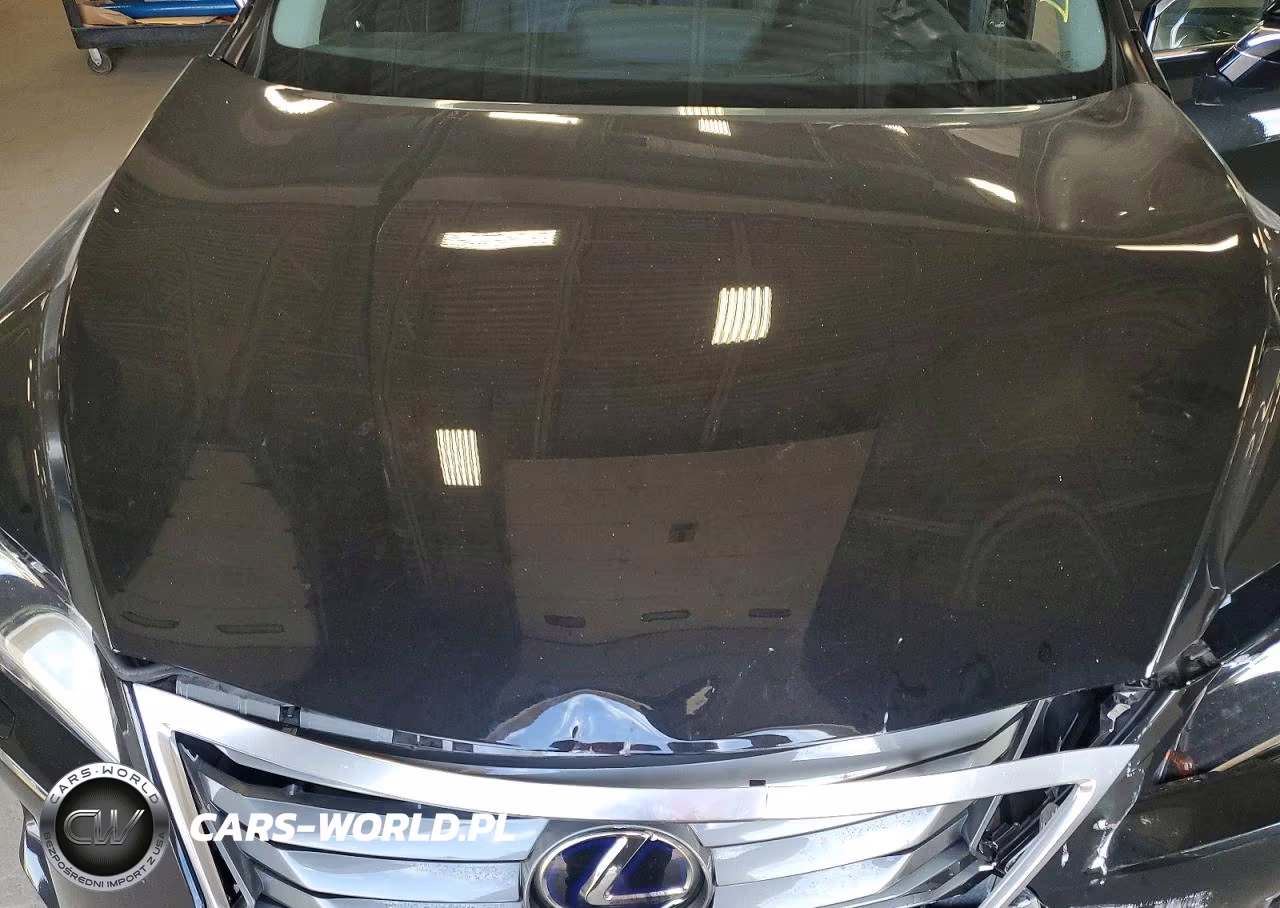 2019 Lexus Rx 450H Base VIN:2T2BGMCA1KC033285 - 12