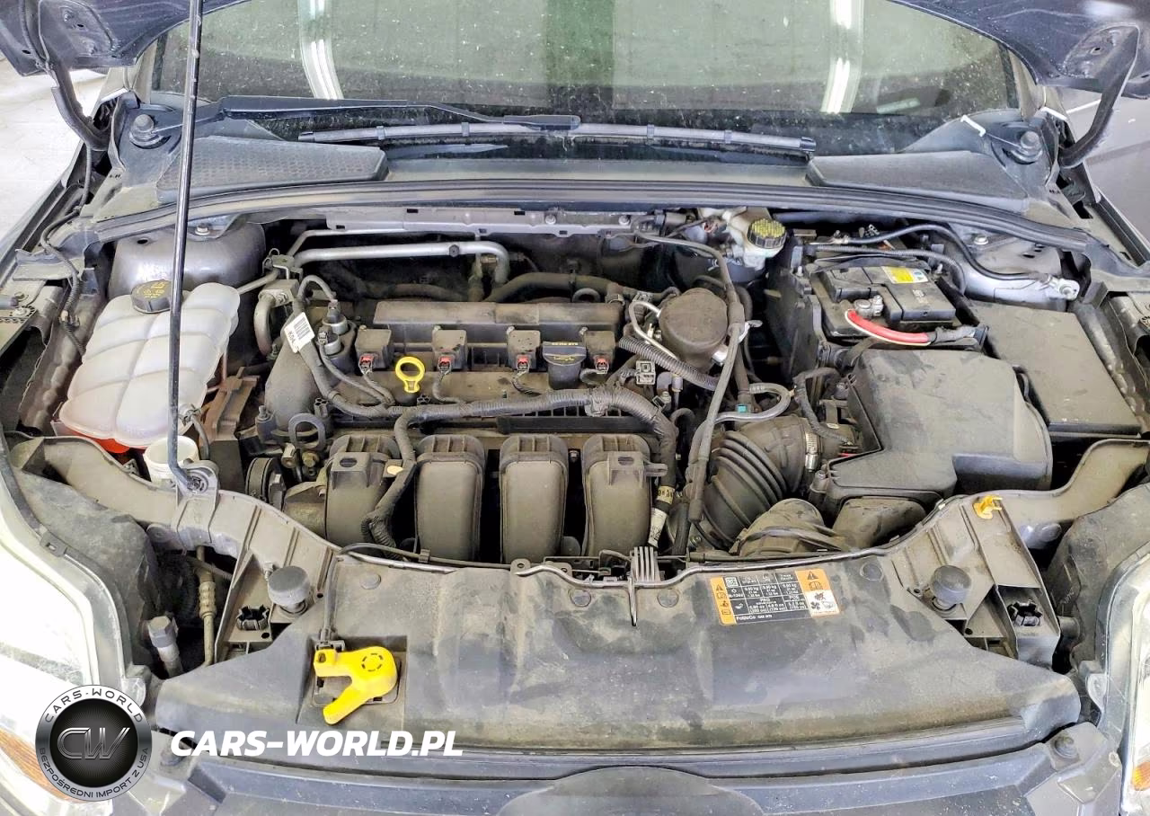 2014 Ford Focus S VIN:1FADP3E26EL312375 - 11