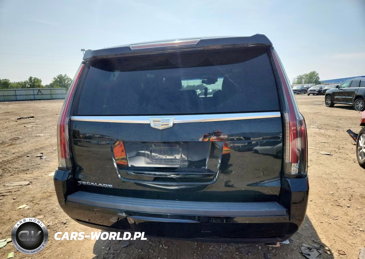 2016 Cadillac Escalade Premium VIN:1GYS4CKJ0GR280054 - 6