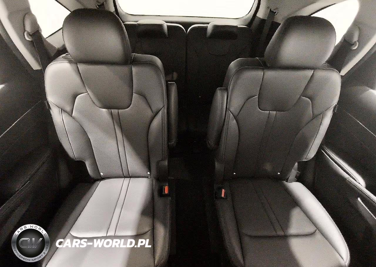 2024 Kia Sorento X-Line Sx VIN:5XYRKDJF5RG263703 - 10