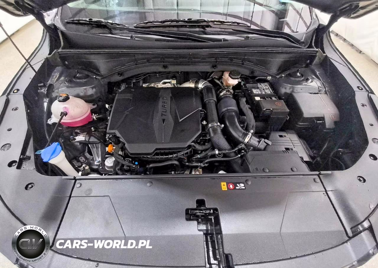 2024 Kia Sorento X-Line Sx VIN:5XYRKDJF5RG263703 - 12