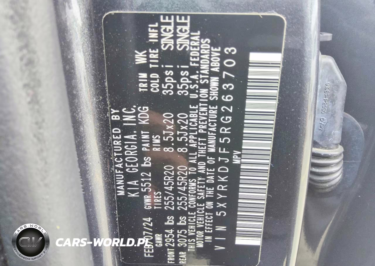 2024 Kia Sorento X-Line Sx VIN:5XYRKDJF5RG263703 - 13