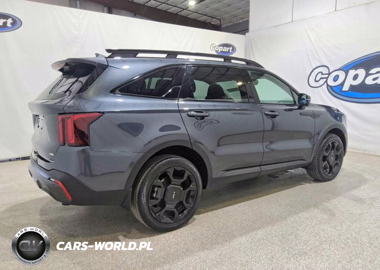 2024 Kia Sorento X-Line Sx VIN:5XYRKDJF5RG263703 - 3