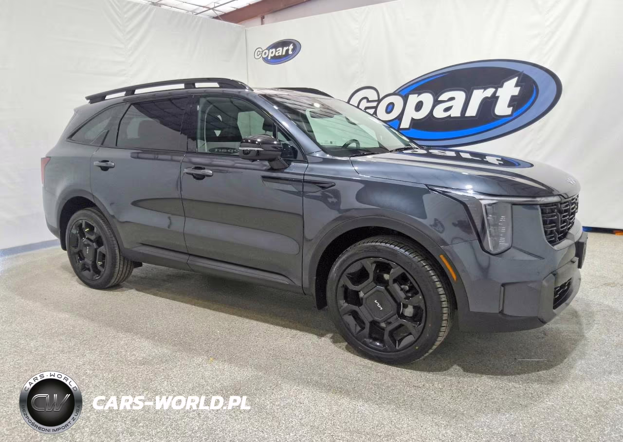2024 Kia Sorento X-Line Sx VIN:5XYRKDJF5RG263703 - 4