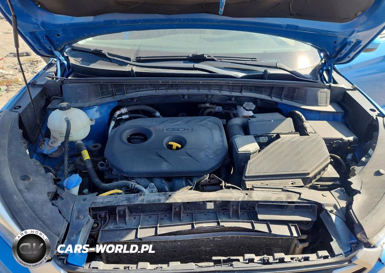 2018 Hyundai Tucson Sel VIN:KM8J33A41JU692645 - 12