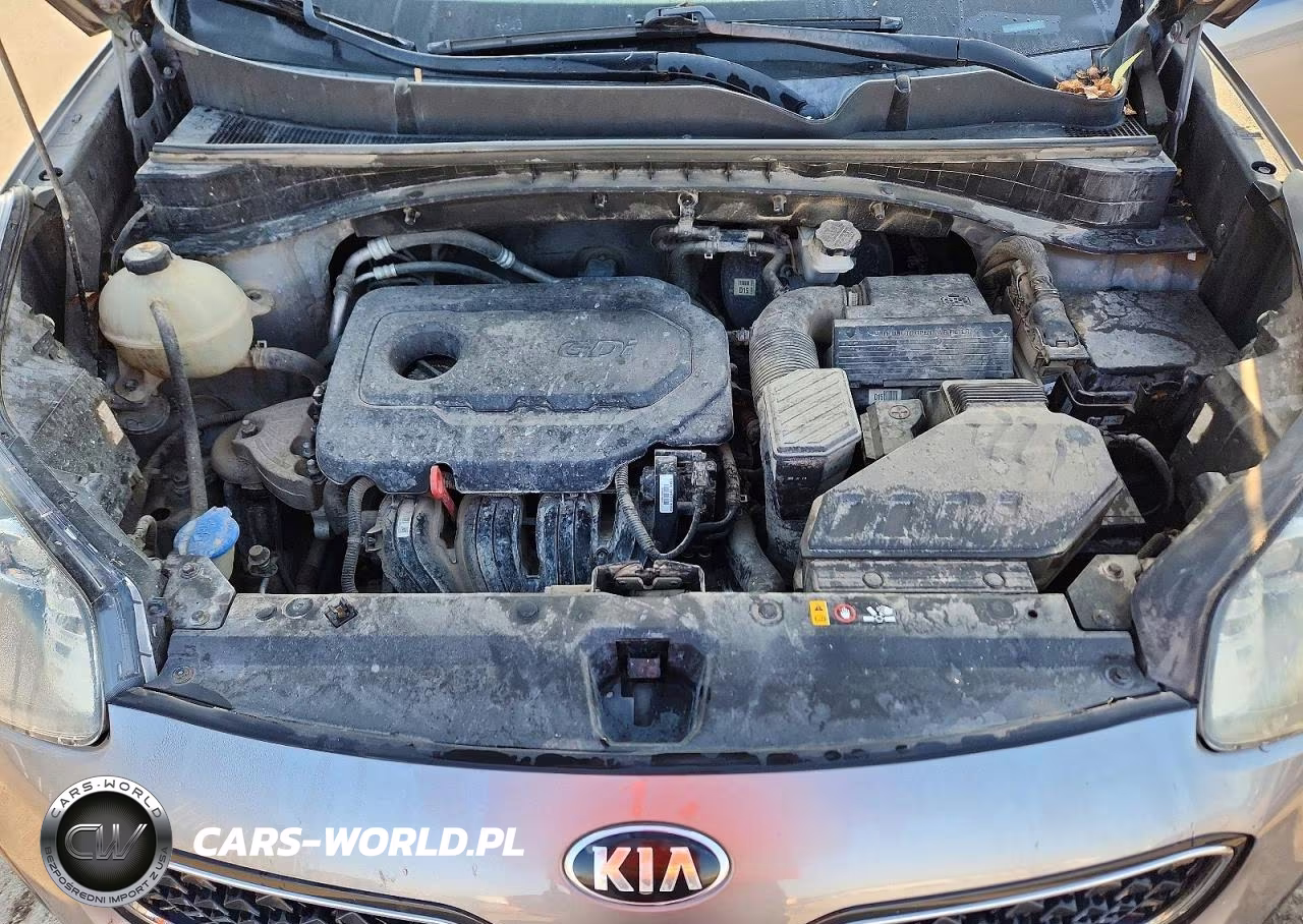 2017 Kia Sportage Lx VIN:KNDPMCAC5H7159676 - 11
