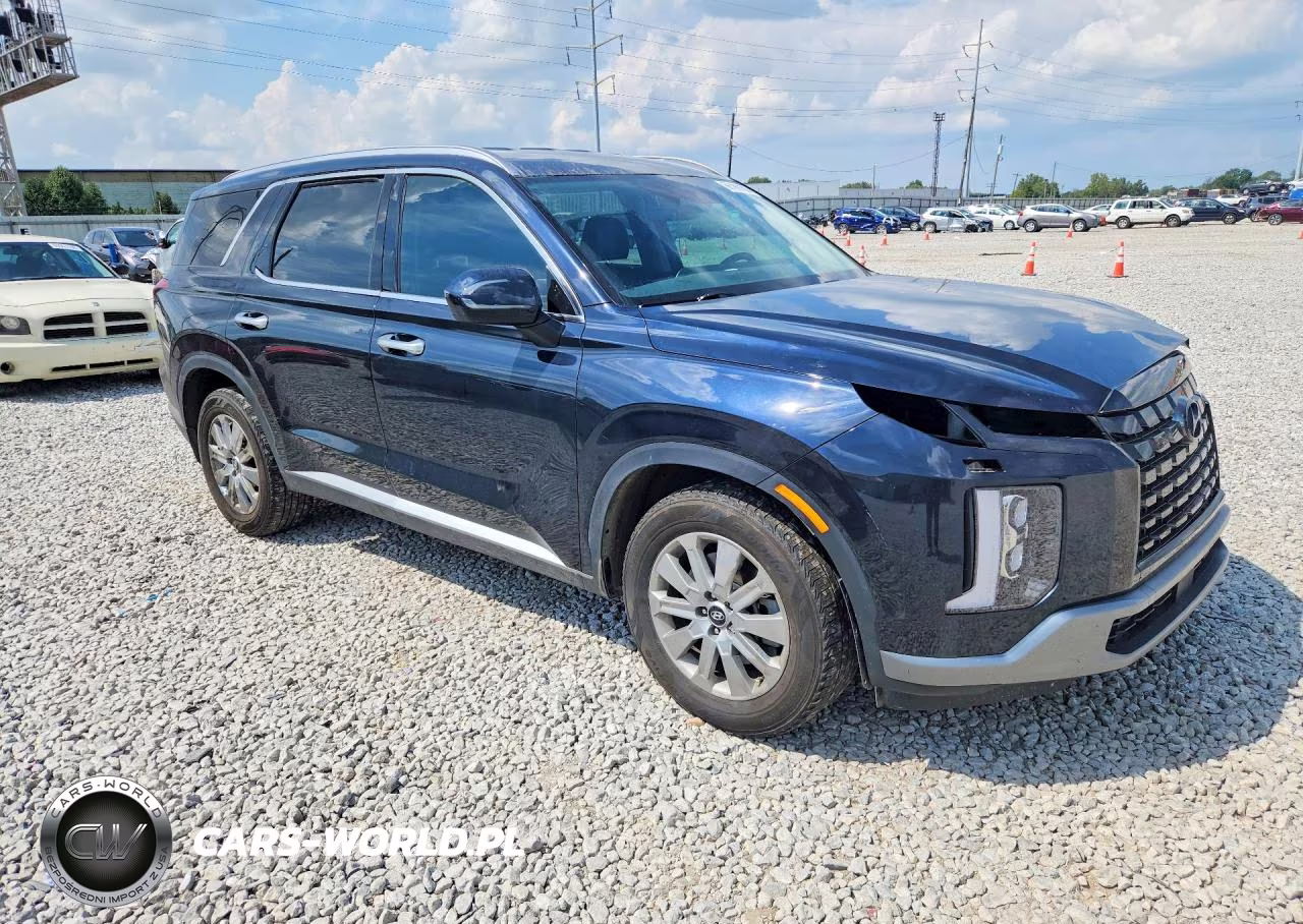 2023 Hyundai Palisade Sel VIN:KM8R24GE5PU521997 - 4