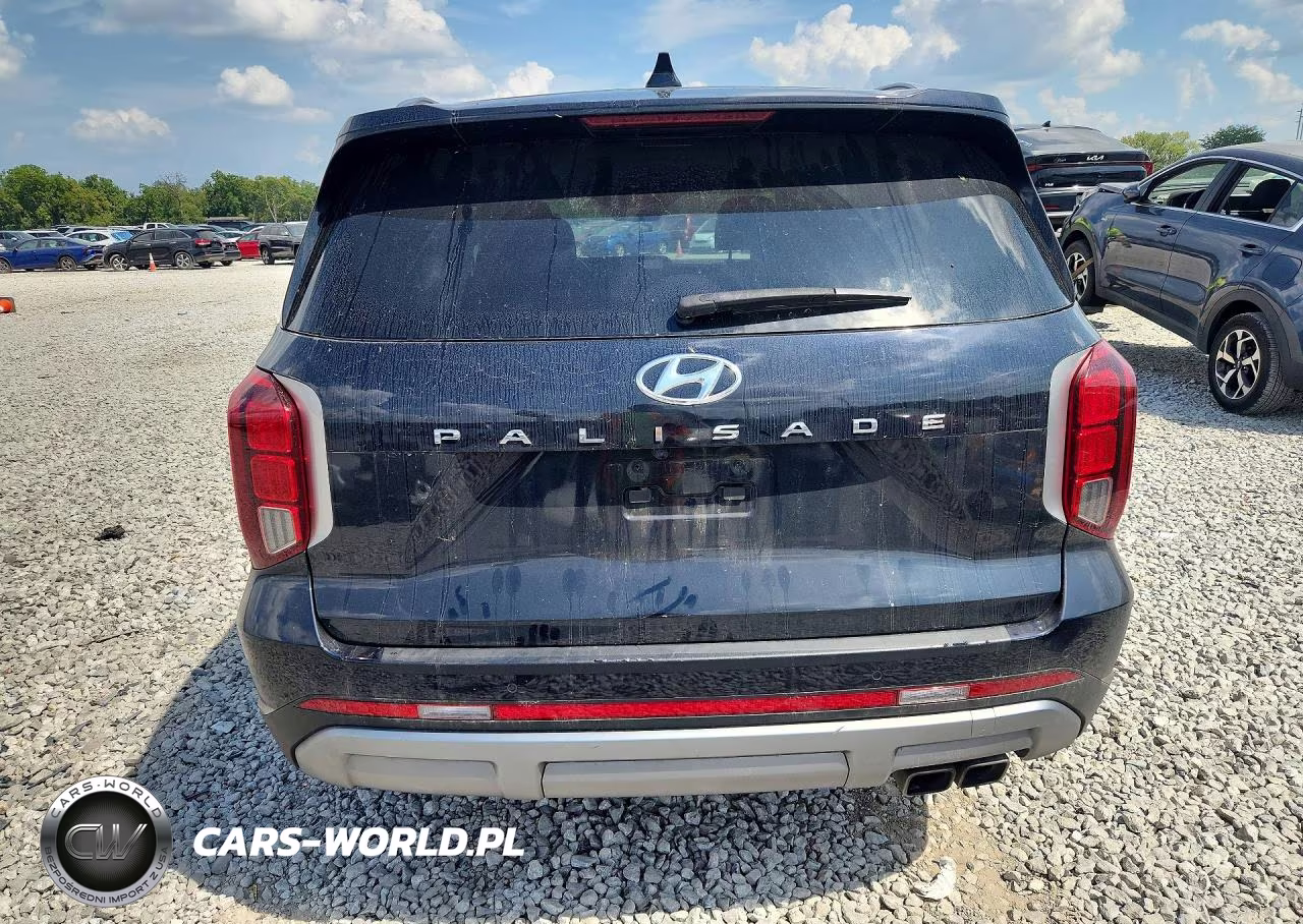2023 Hyundai Palisade Sel VIN:KM8R24GE5PU521997 - 6