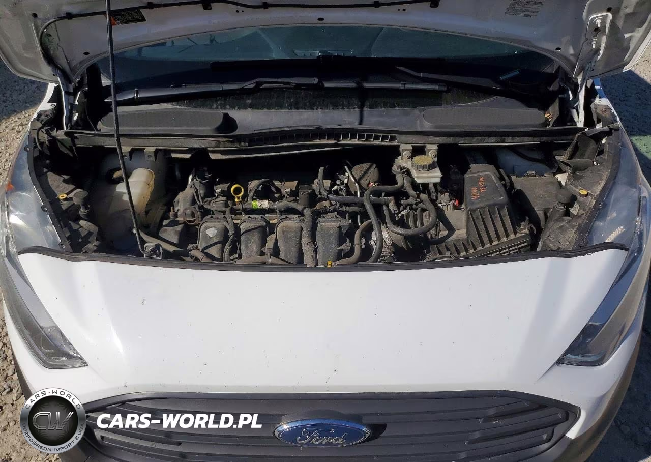 2019 Ford Transit Connect Xl Delivery Van VIN:NM0LS7E28K1423929 - 12