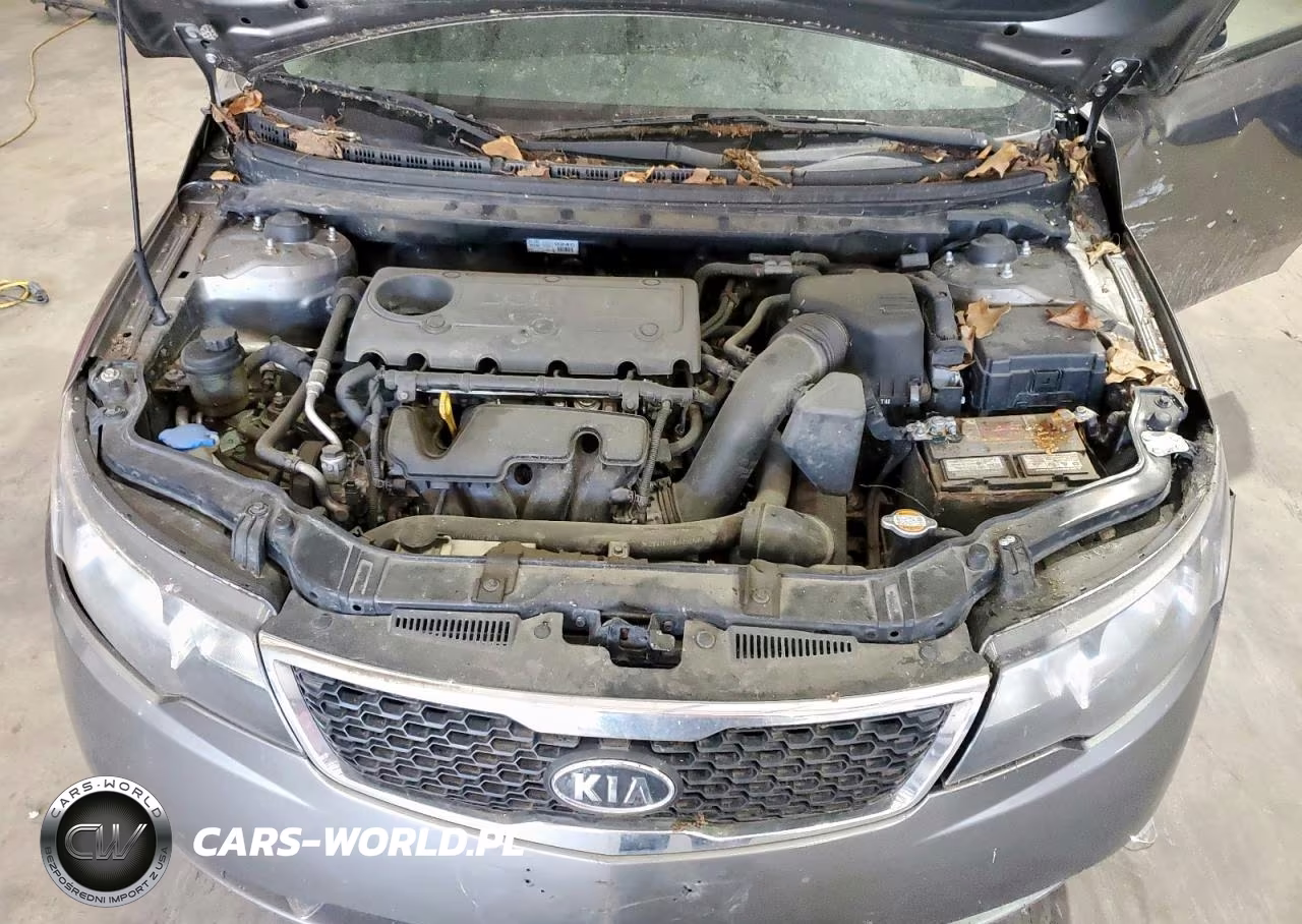 2012 Kia Forte Ex VIN:KNAFU4A23C5515018 - 11