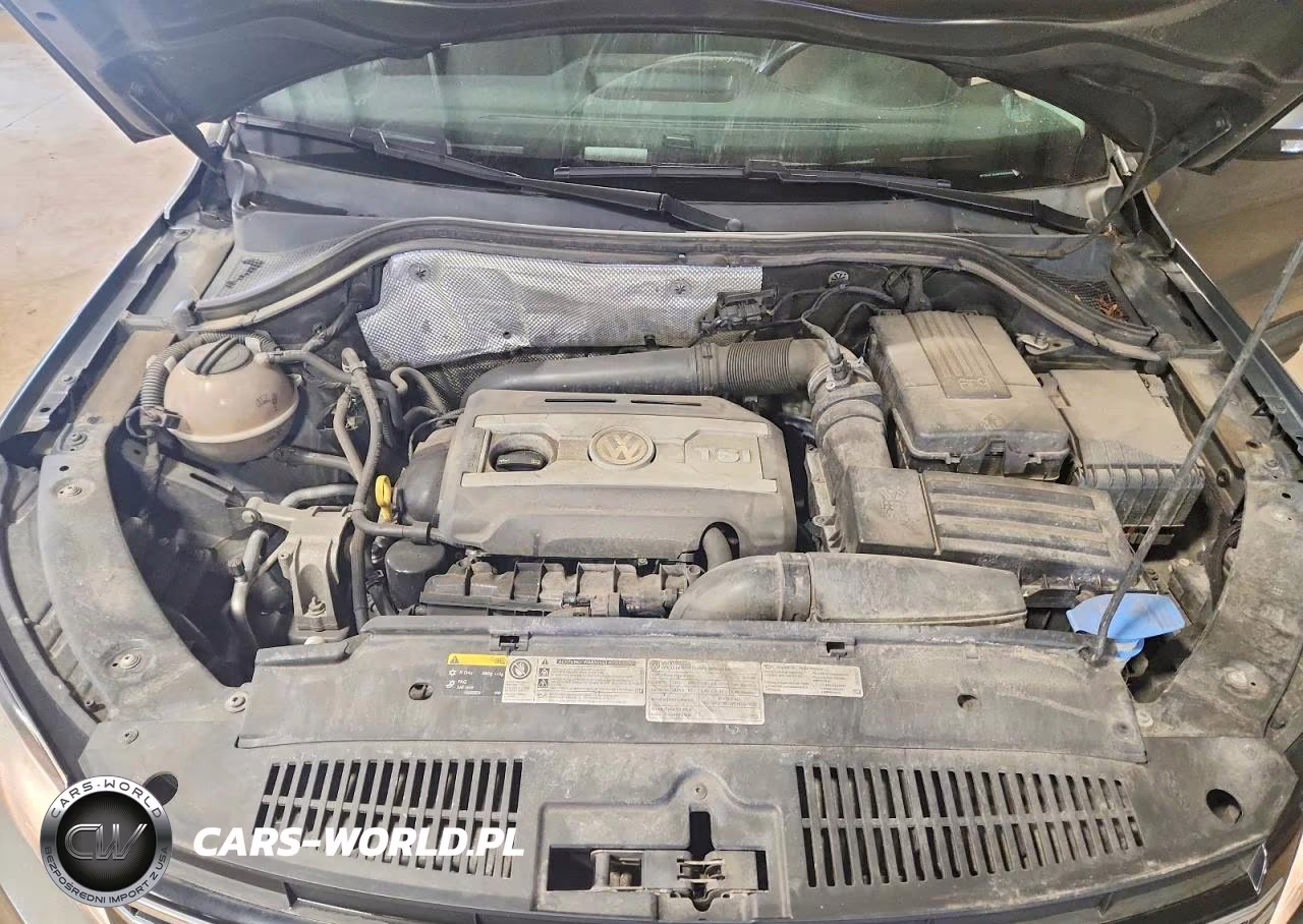 2015 Volkswagen Tiguan S VIN:WVGAV7AX6FW566403 - 11