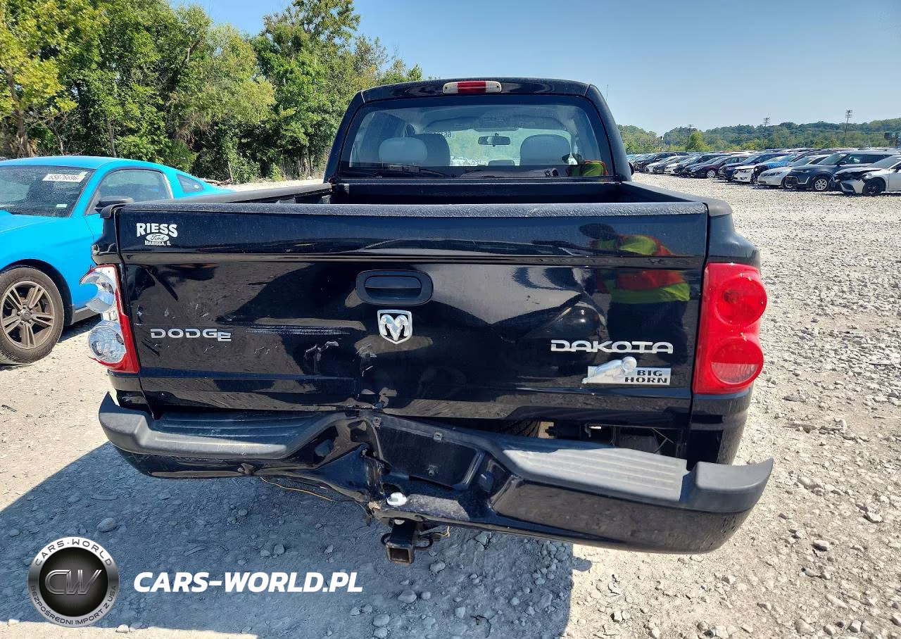 2011 Dodge Dakota Slt VIN:1D7RW3GK6BS614367 - 6