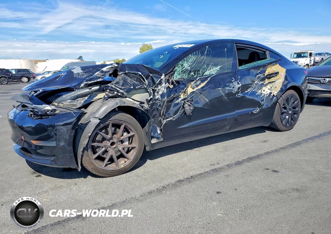 2021 Tesla Model 3 – zdjęcie 1 z 12