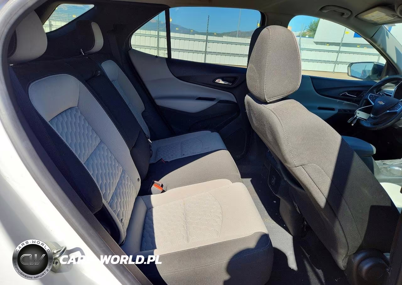 2019 Chevrolet Equinox Ls VIN:2GNAXSEV2K6216188 - 10