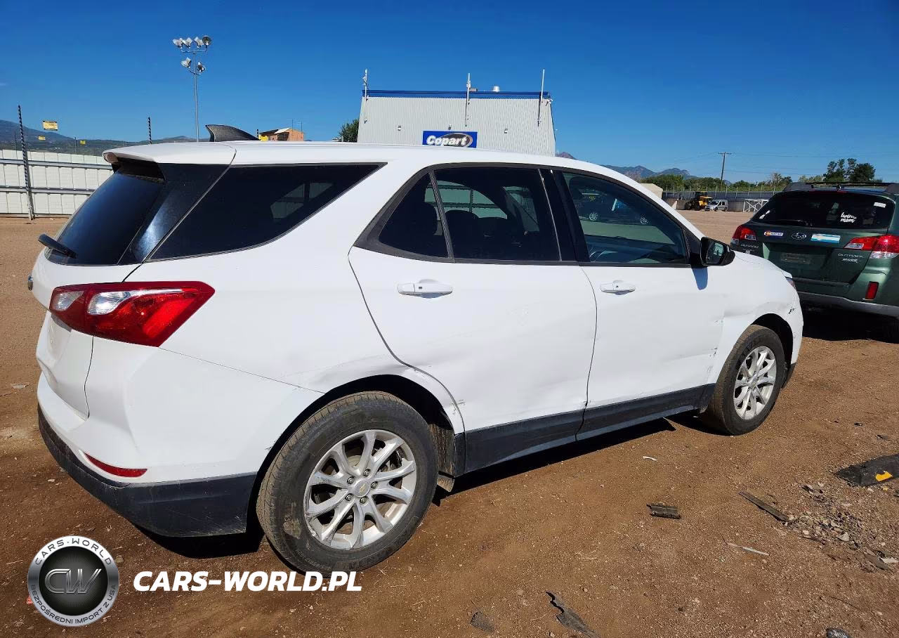 2019 Chevrolet Equinox Ls VIN:2GNAXSEV2K6216188 - 3