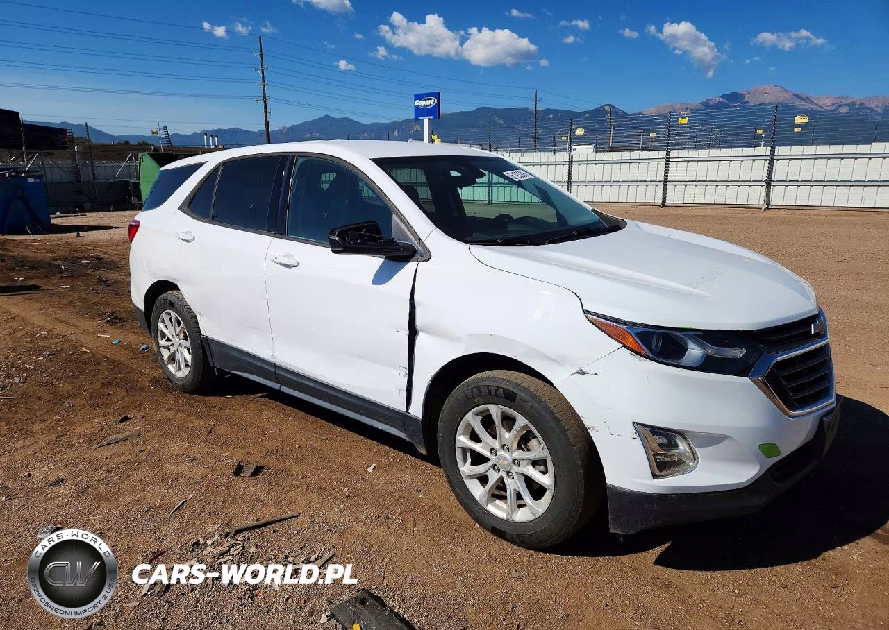 2019 Chevrolet Equinox Ls VIN:2GNAXSEV2K6216188 - 4