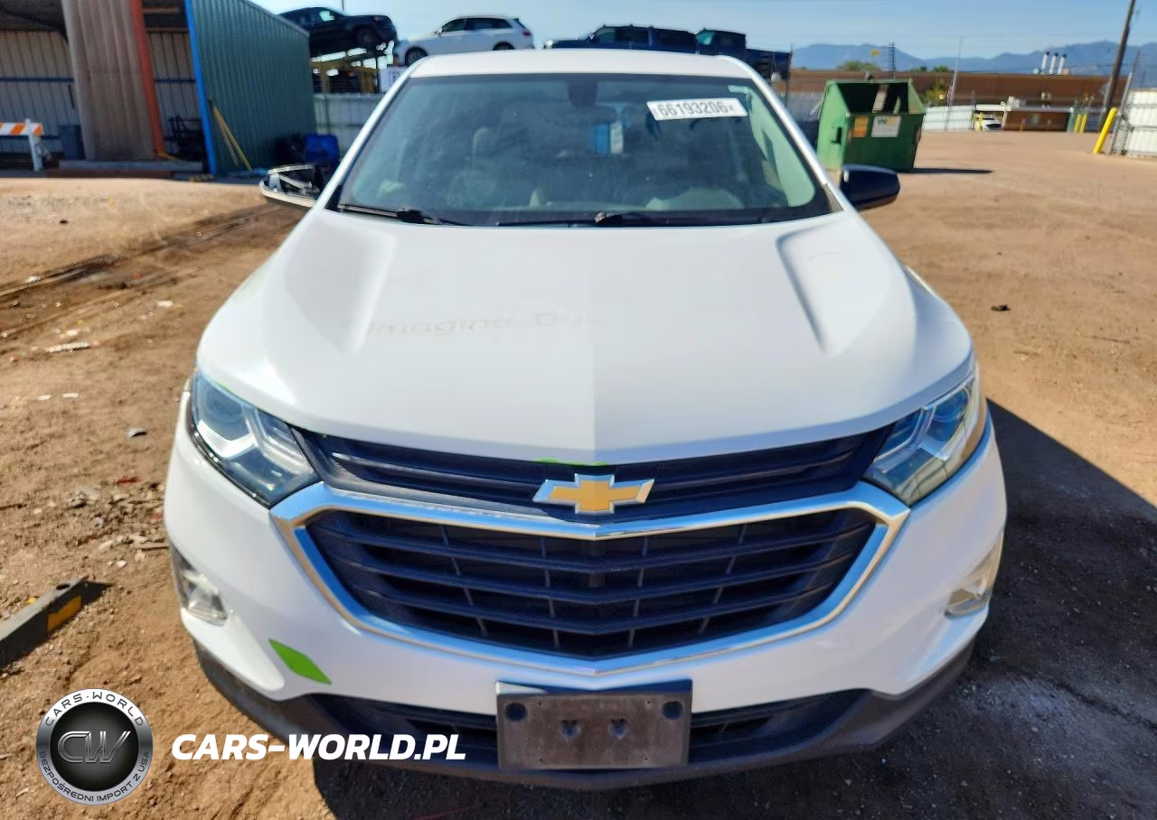 2019 Chevrolet Equinox Ls VIN:2GNAXSEV2K6216188 - 5