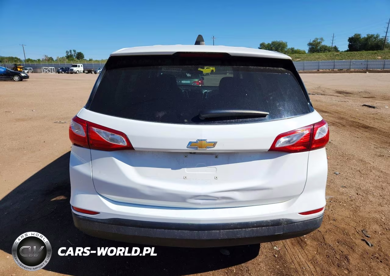2019 Chevrolet Equinox Ls VIN:2GNAXSEV2K6216188 - 6