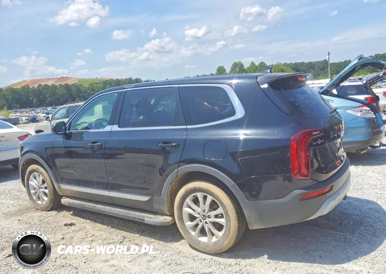 2020 Kia Telluride Lx VIN:5XYP24HC3LG066135 - 2