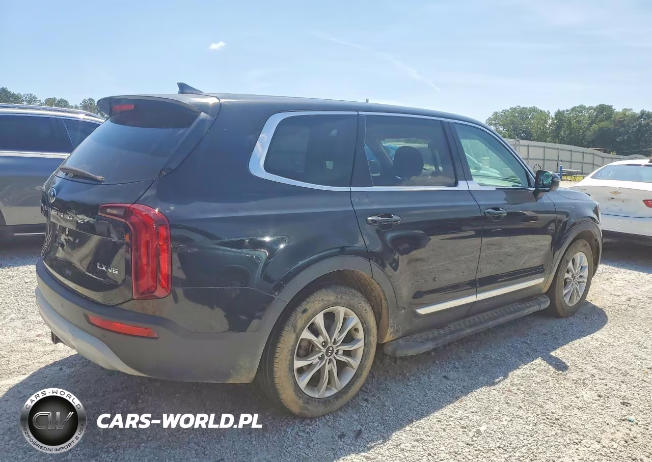 2020 Kia Telluride Lx VIN:5XYP24HC3LG066135 - 3