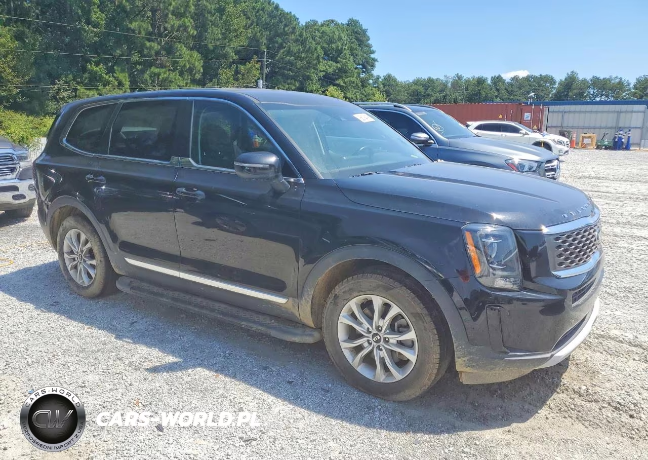 2020 Kia Telluride Lx VIN:5XYP24HC3LG066135 - 4