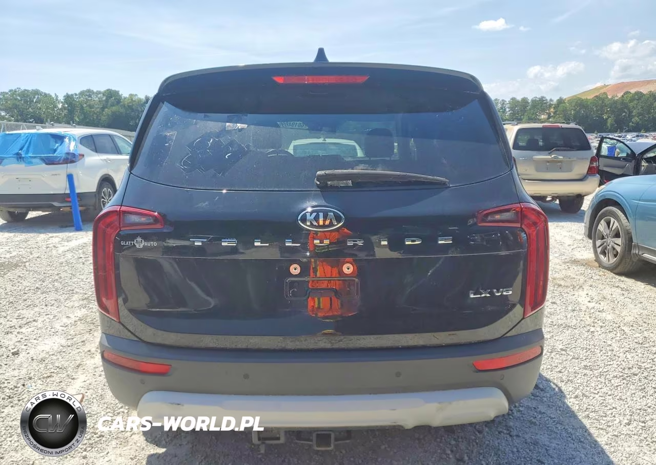 2020 Kia Telluride Lx VIN:5XYP24HC3LG066135 - 6