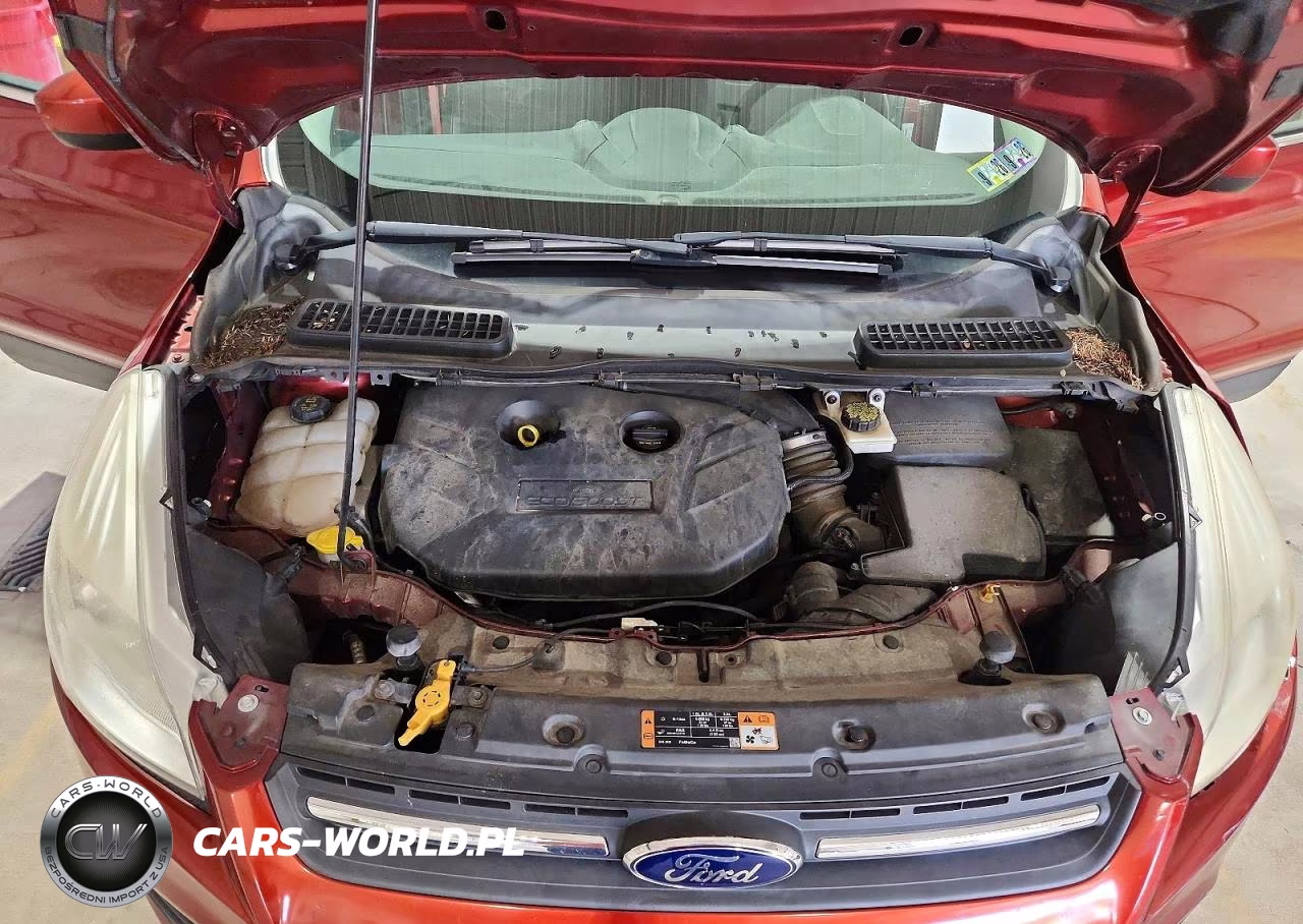 2014 Ford Escape Se VIN:1FMCU9G94EUE32886 - 12