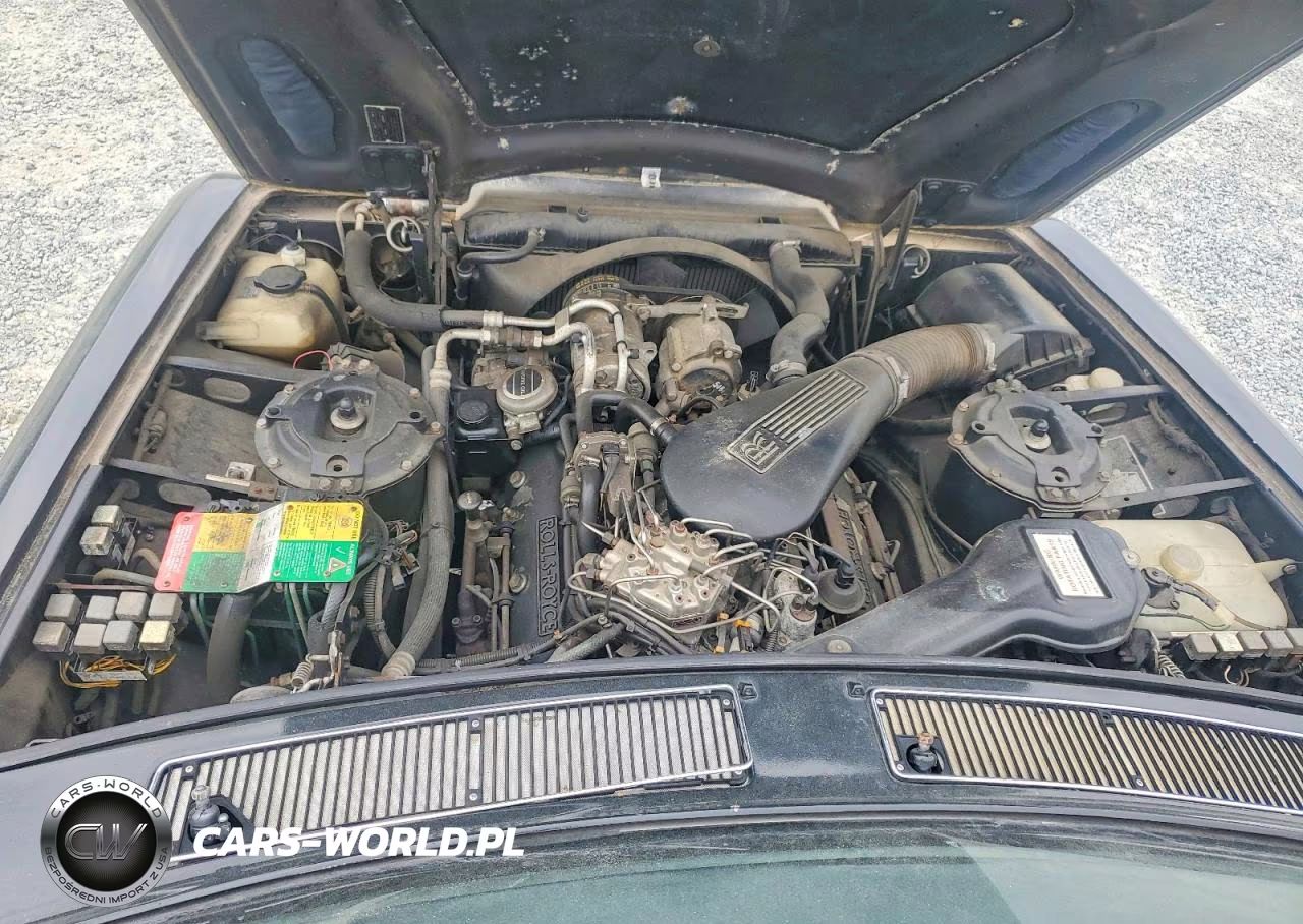 1987 Rolls-Royce Silver Spur VIN:SCAZN02A3HCX20411 - 11