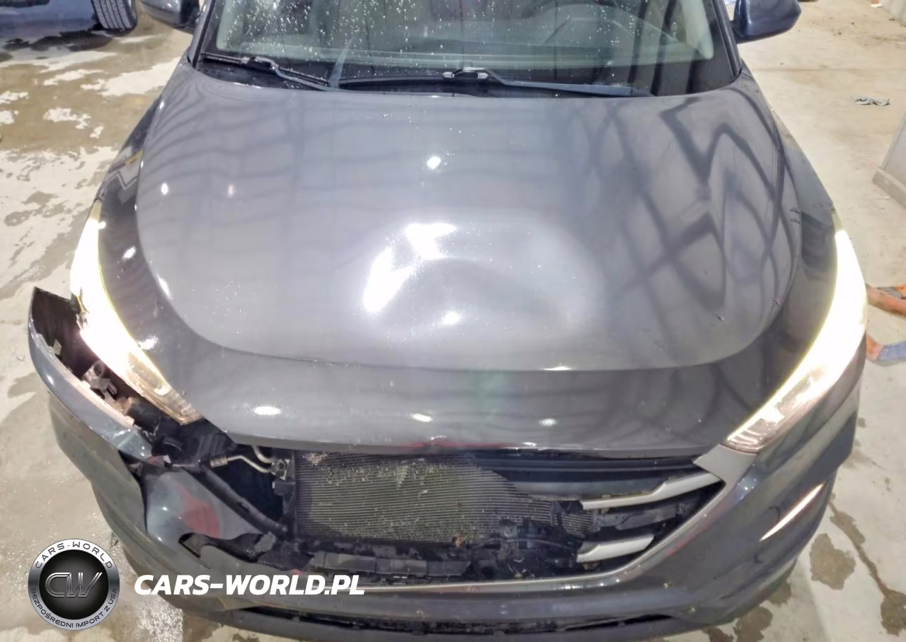 2017 Hyundai Tucson Se VIN:KM8J3CA40HU585077 - 12