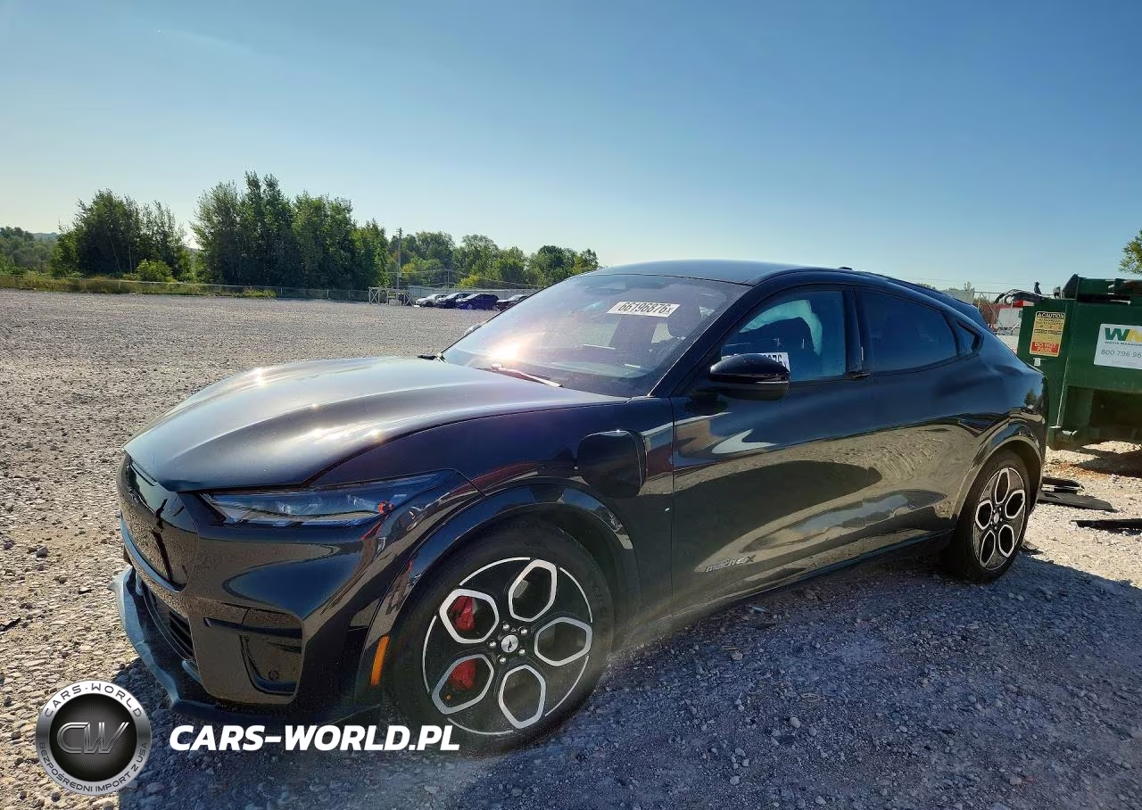 2021 Ford Mustang Mach-E Gt VIN:3FMTK4SE8MME00992 - 1