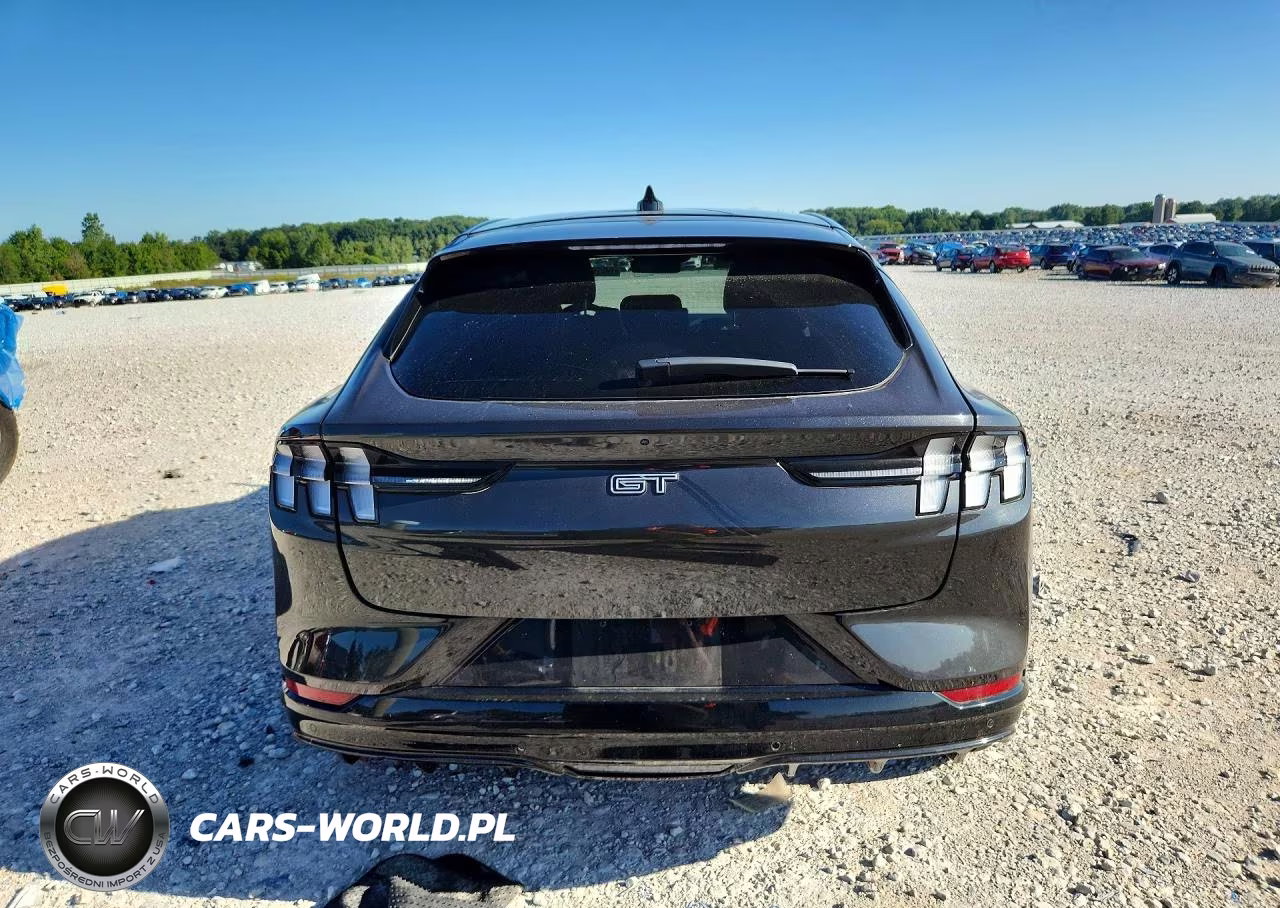 2021 Ford Mustang Mach-E Gt VIN:3FMTK4SE8MME00992 - 6