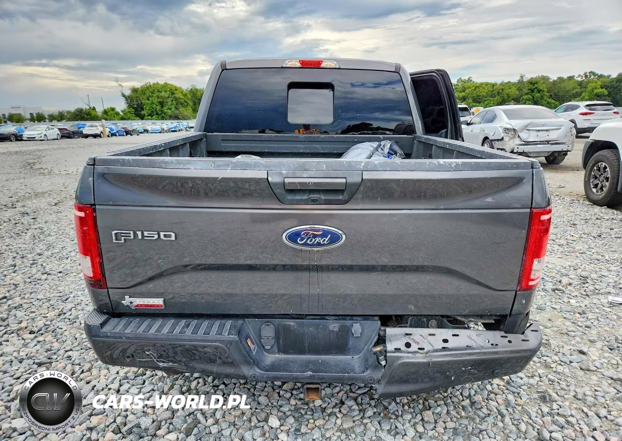 2016 Ford F150 Supercrew VIN:1FTEW1CP4GKE11399 - 6