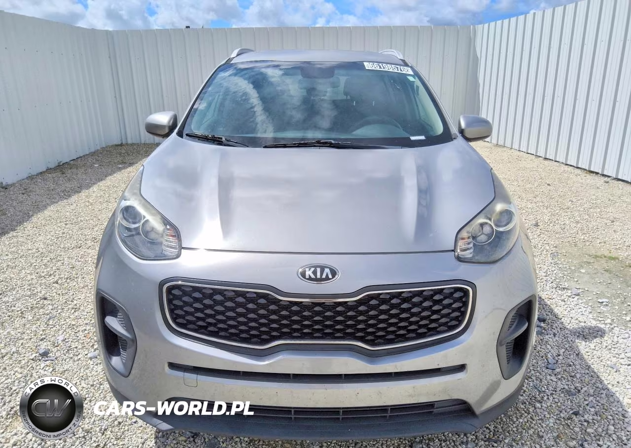 2019 Kia Sportage Lx VIN:KNDPM3AC1K7618757 - 5