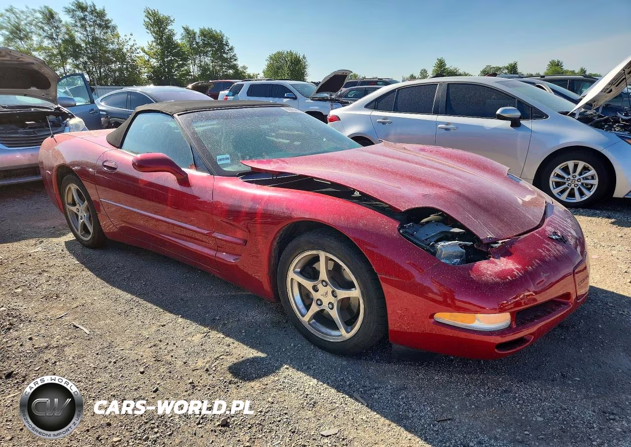 2002 Chevrolet Corvette VIN:1G1YY32G525106398 - 4