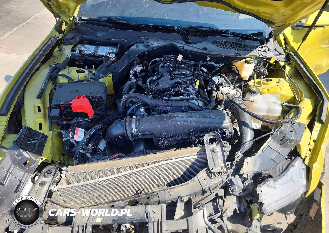2025 Ford Mustang Ecoboost Fastback VIN:1FA6P8TH2S5114874 - 11
