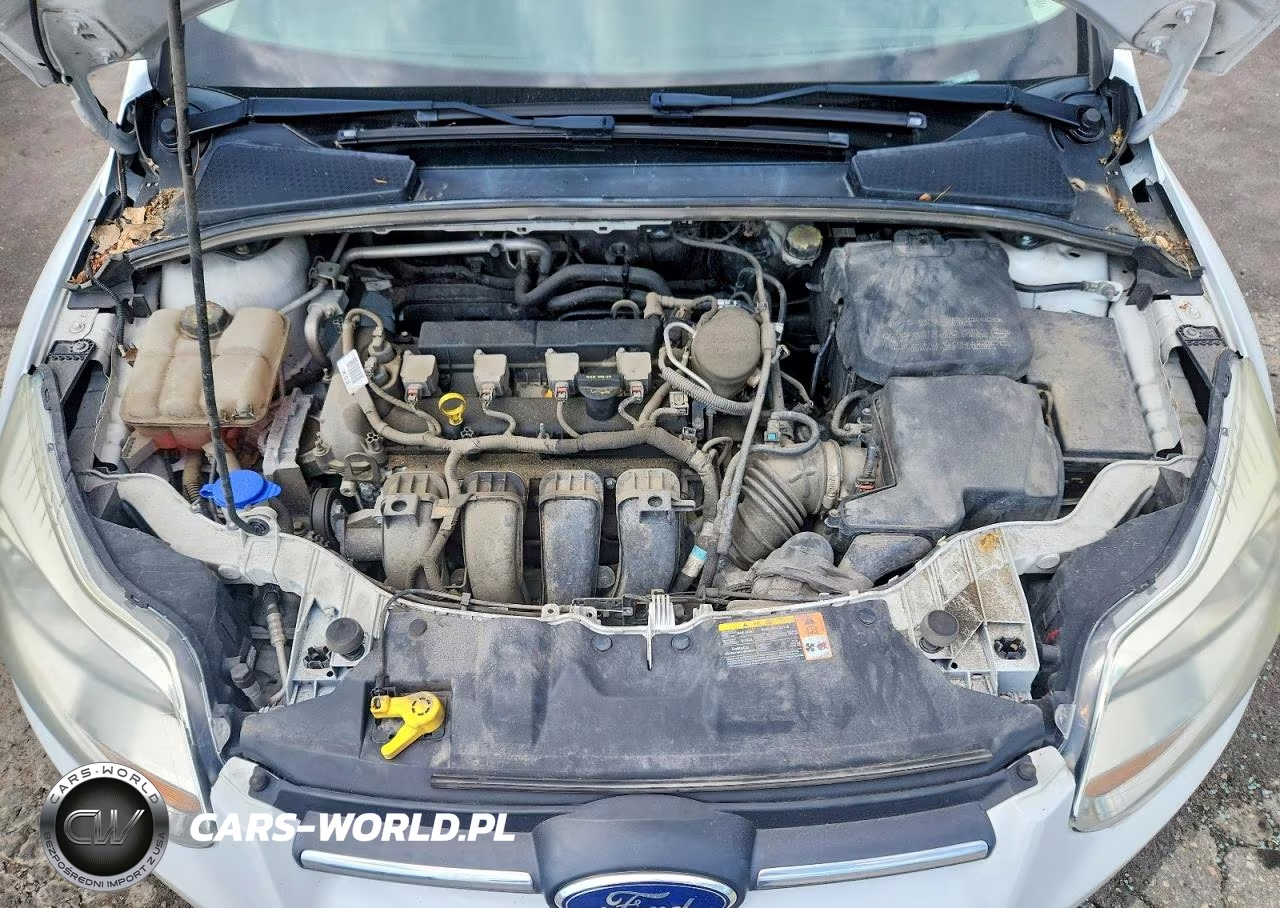 2014 Ford Focus Se VIN:1FADP3F27EL126987 - 11